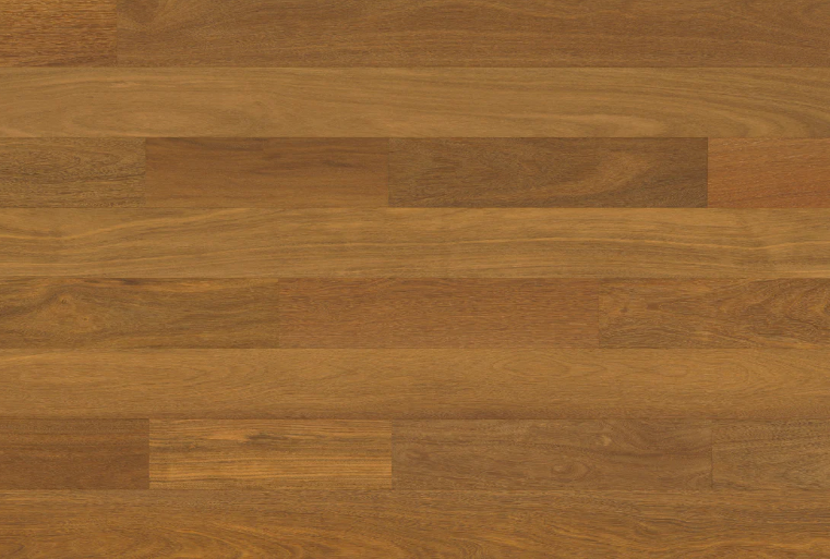 Brazilian Chestnut (Sucupira) Autumn