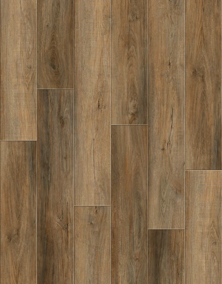 Abalone Oak | D-03