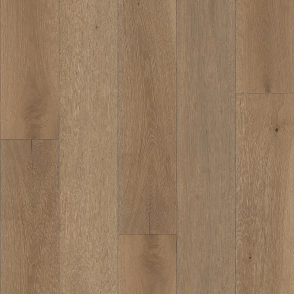 Expressions 9.5 -Kinetic