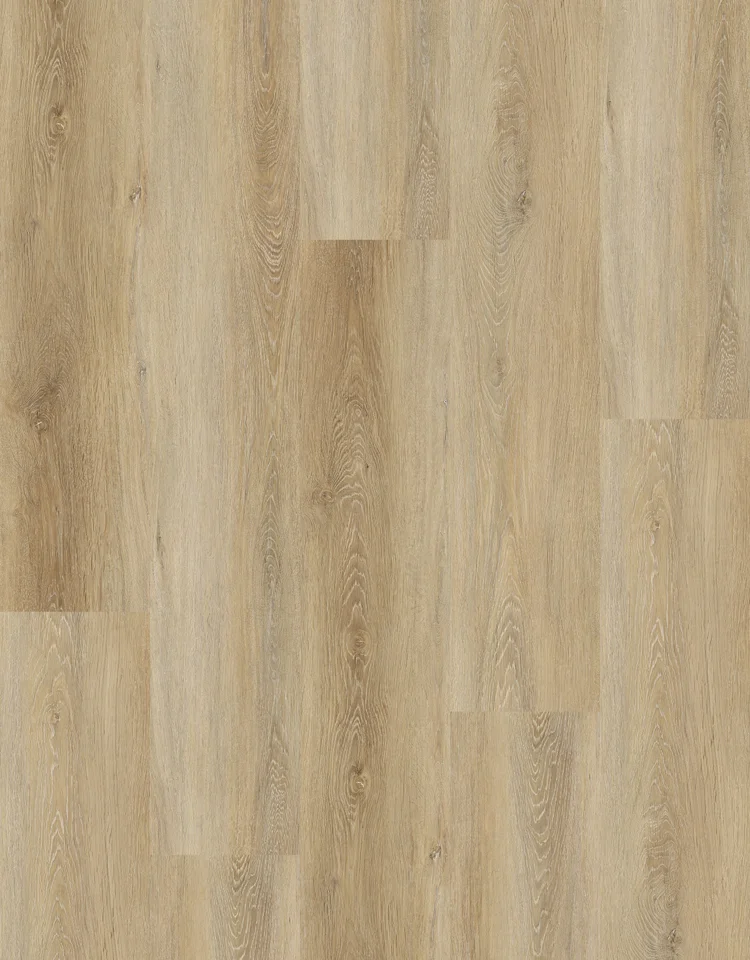 Radiating Warmth | RS8902