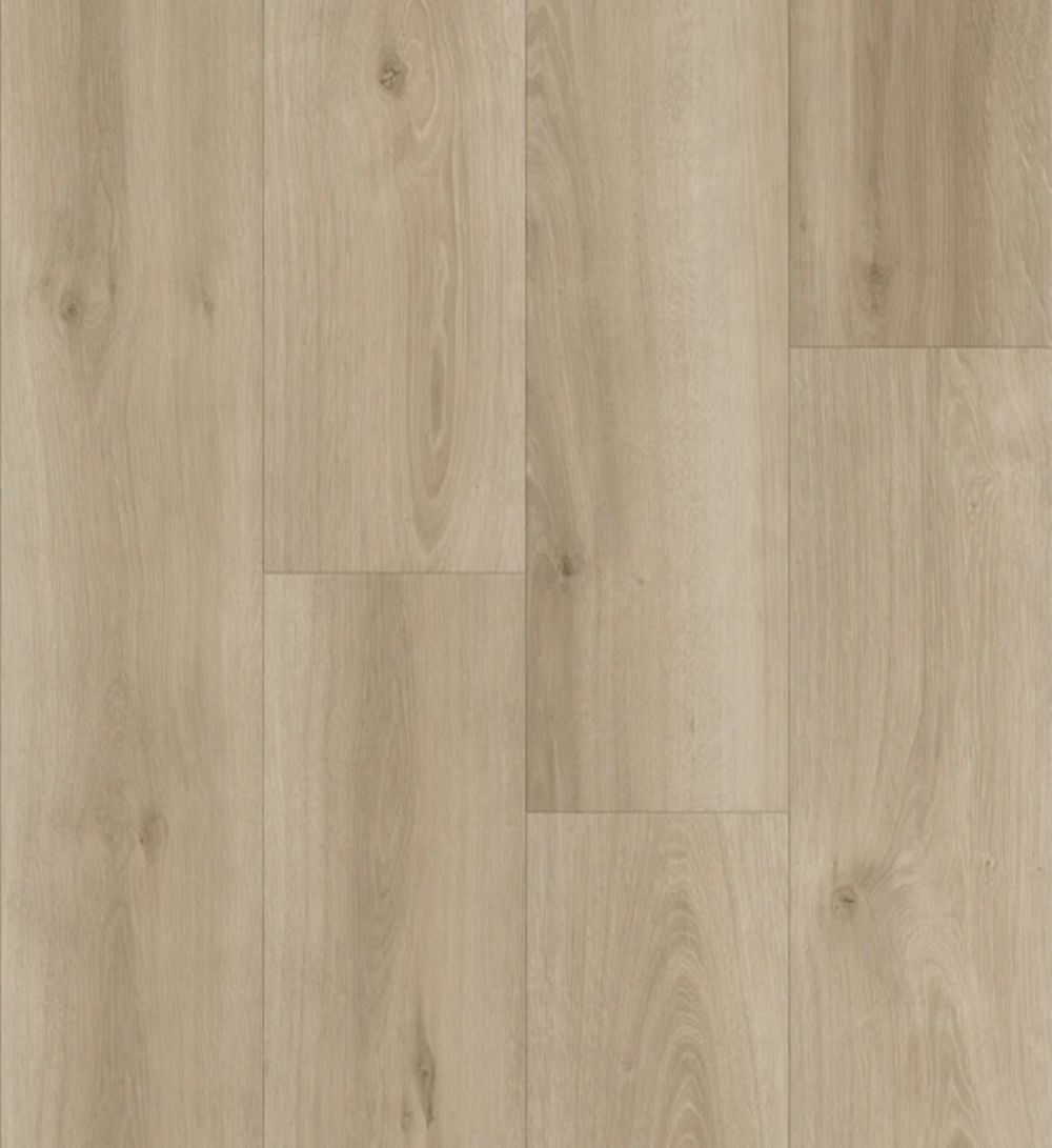 Revolution Collection Kingsley ETUS-LI22021