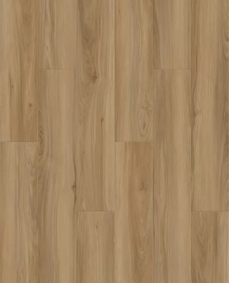 Wash Burs Point | SL-08